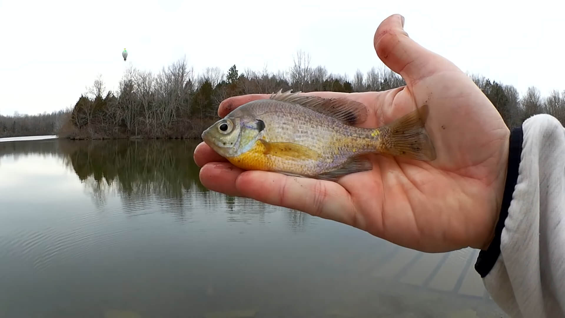 Winter Fishing In Cold Water Realistic Fishing