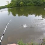untitled - Realistic Fishing
