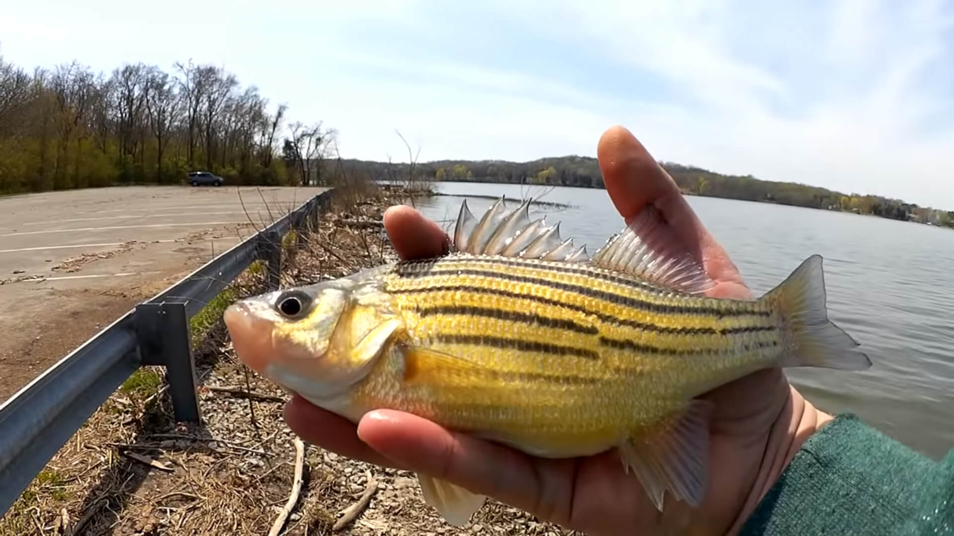 Beginner Fishing Lures! How to Fish with a Twister Tail Grub