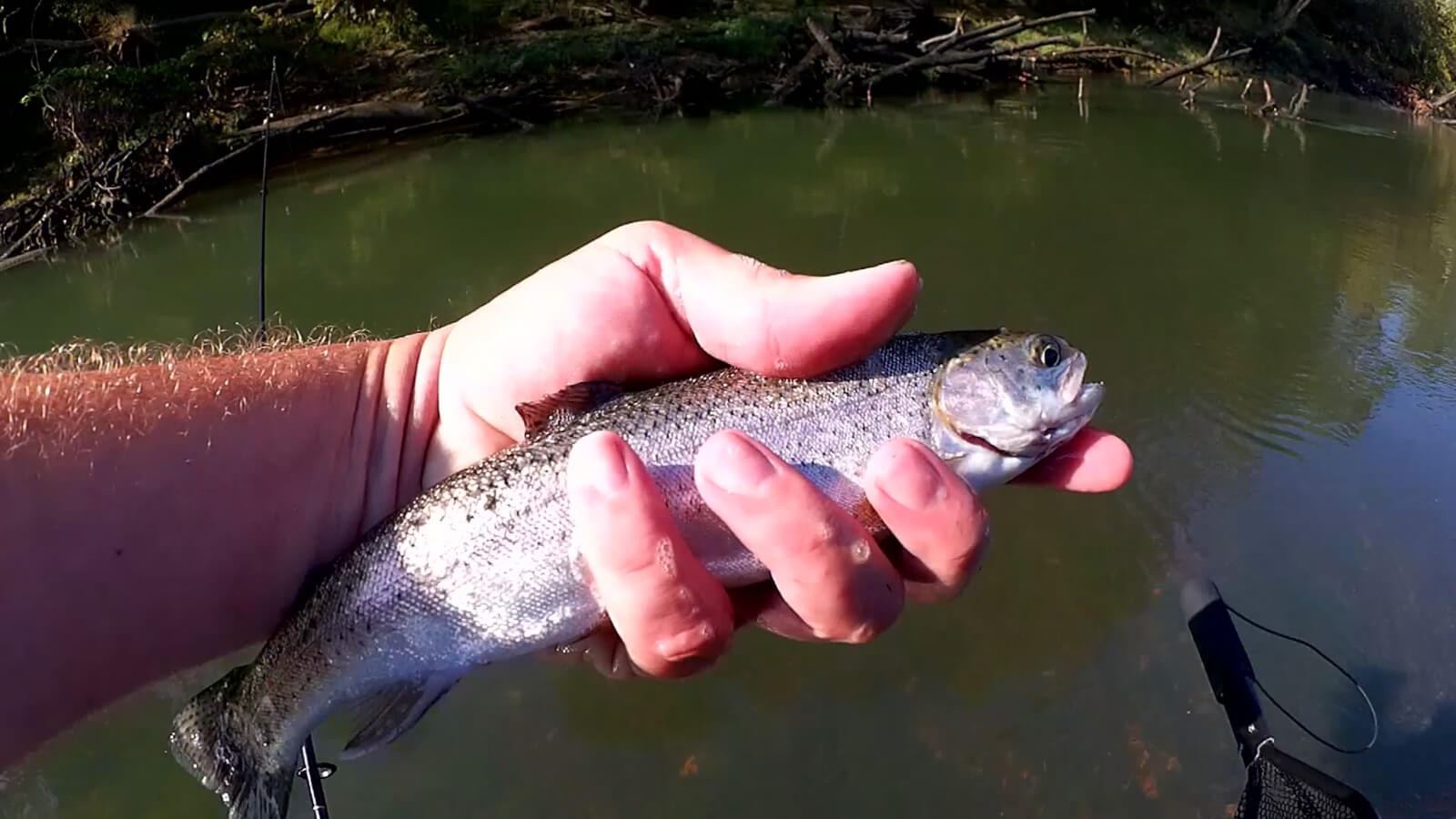 River Fishing for Trout Using Bottom Rigs