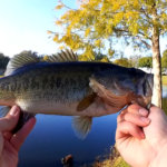 first pond fishing video on realistic fishing bass fishing new pond - Realistic Fishing