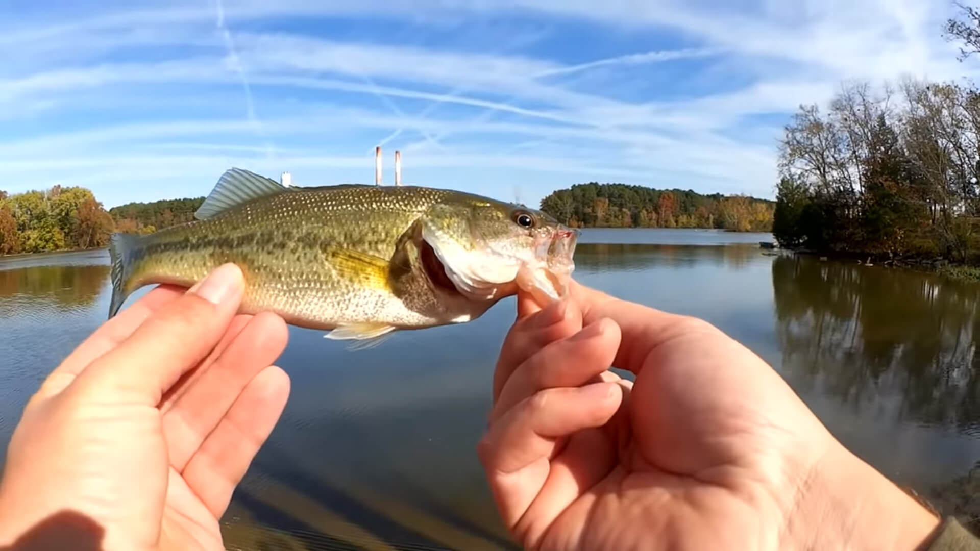 fishing for fall bass bluegill with blade bait and live bait worms - Realistic Fishing