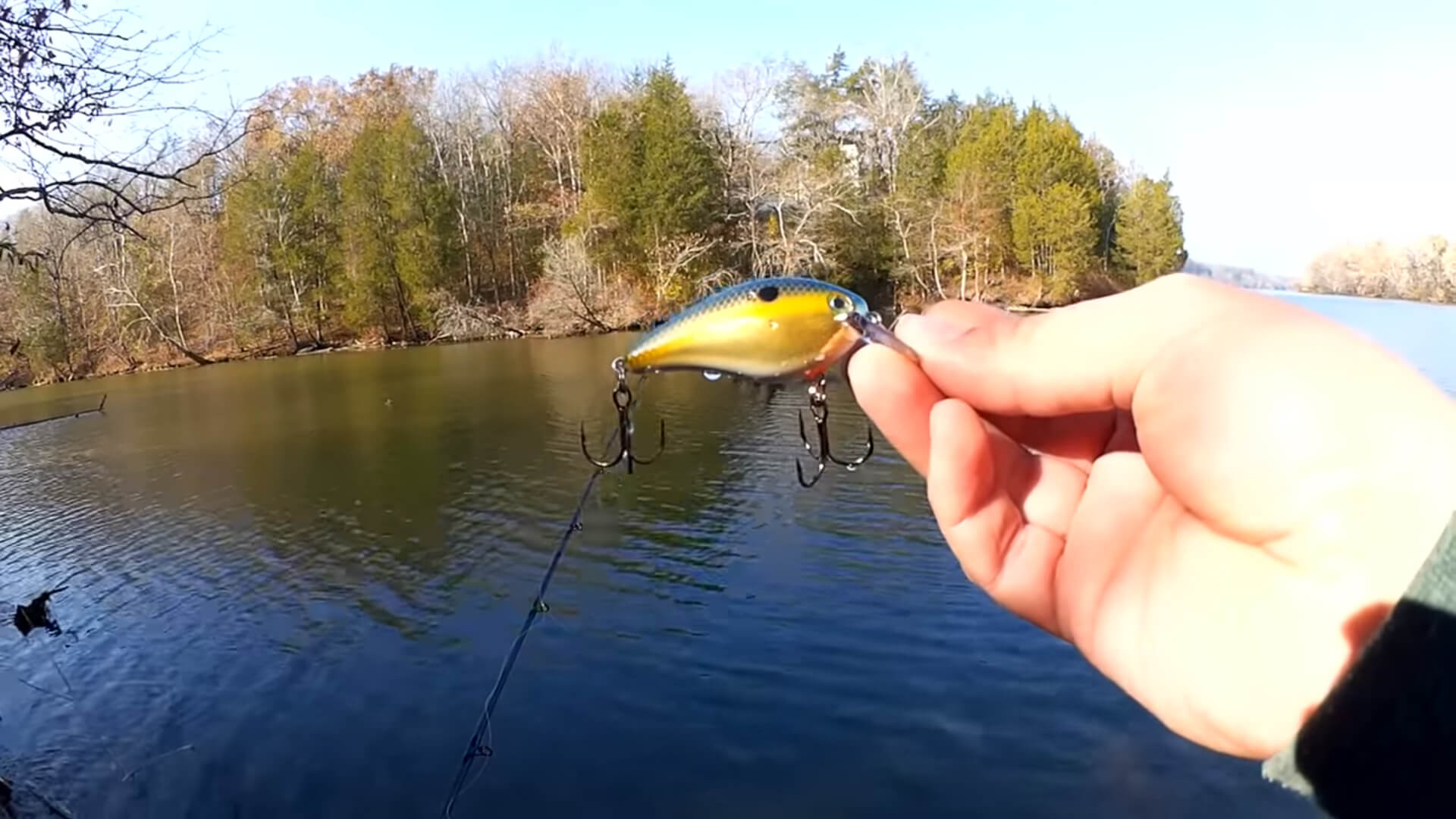 Bass Fishing with a Strike King KVD 1.5 Squarebill Crankbait