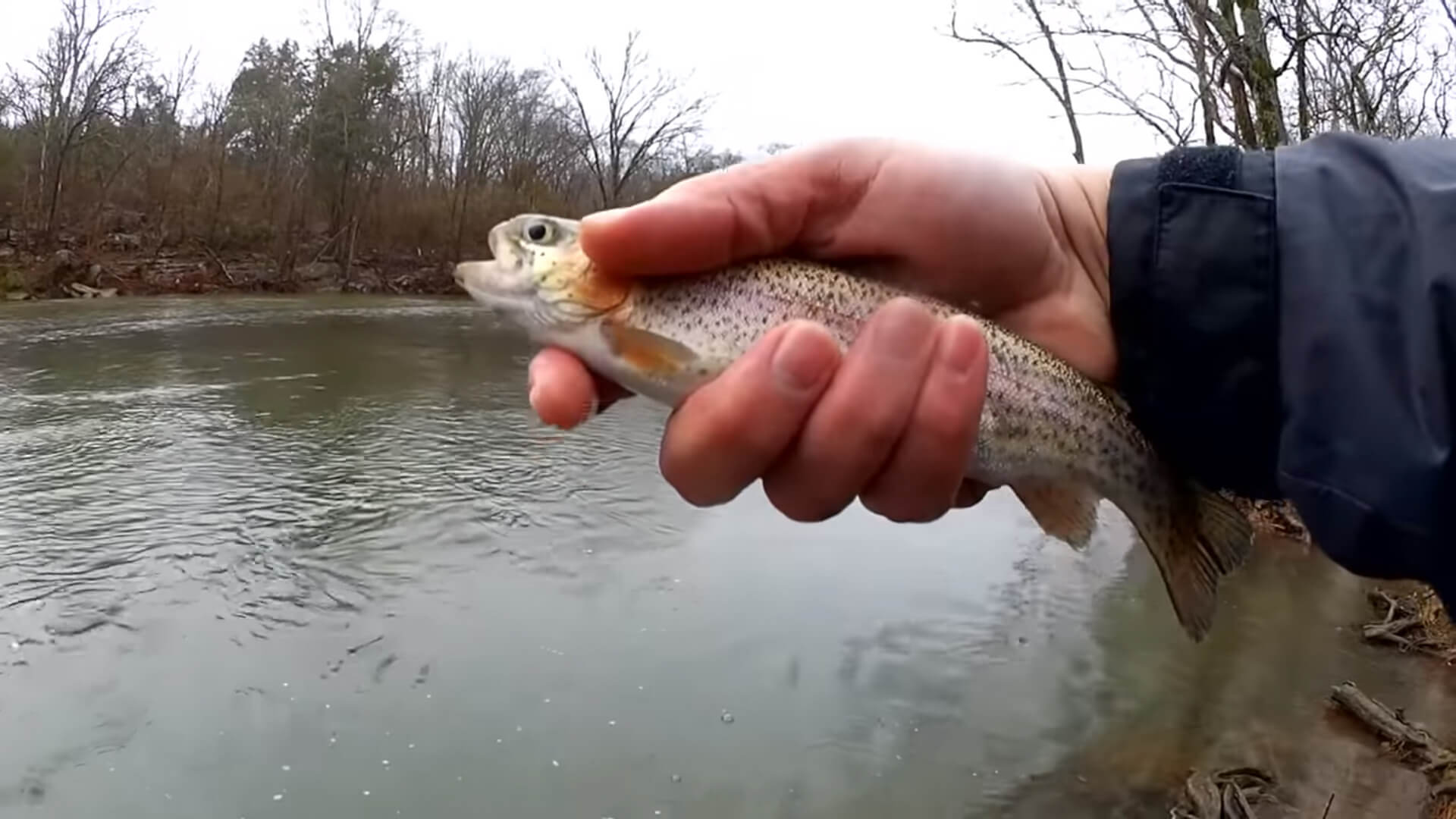 trout fishing with three different baits - Realistic Fishing