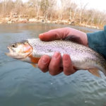 Fishing a New Creek for Stocked Winter Trout - Realistic Fishing