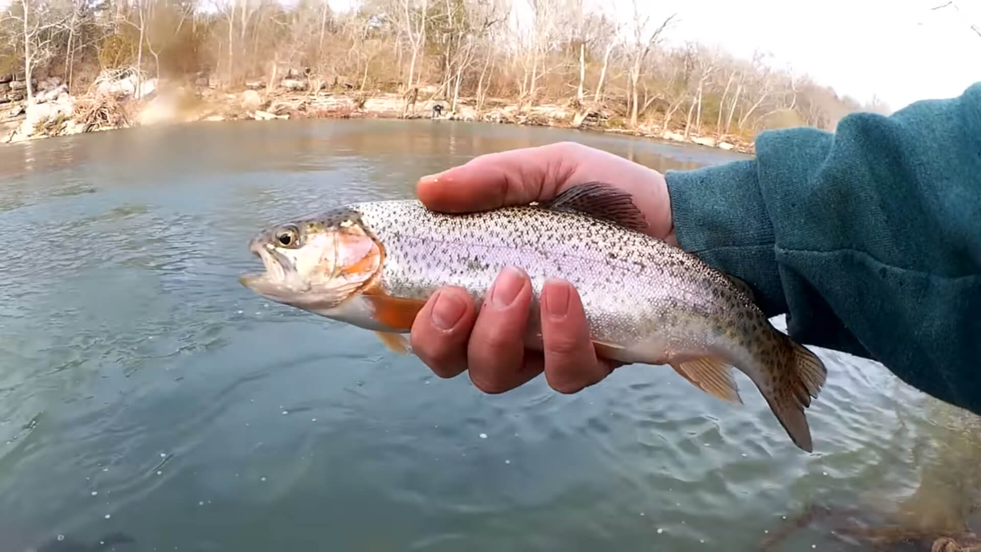 Fishing a New Creek for Stocked Winter Trout - Realistic Fishing