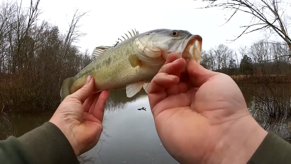 How I Catch My First Bass of 2020 Fishing in Flooded Cold Water - Realistic Fishing