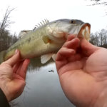 How I Catch My First Bass of 2020 Fishing in Flooded Cold Water - Realistic Fishing