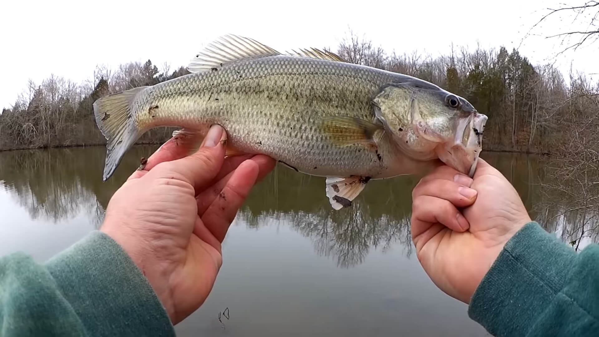 My BEST Bass Fishing Day This Year Which Lure Catches all These Bass - Realistic Fishing