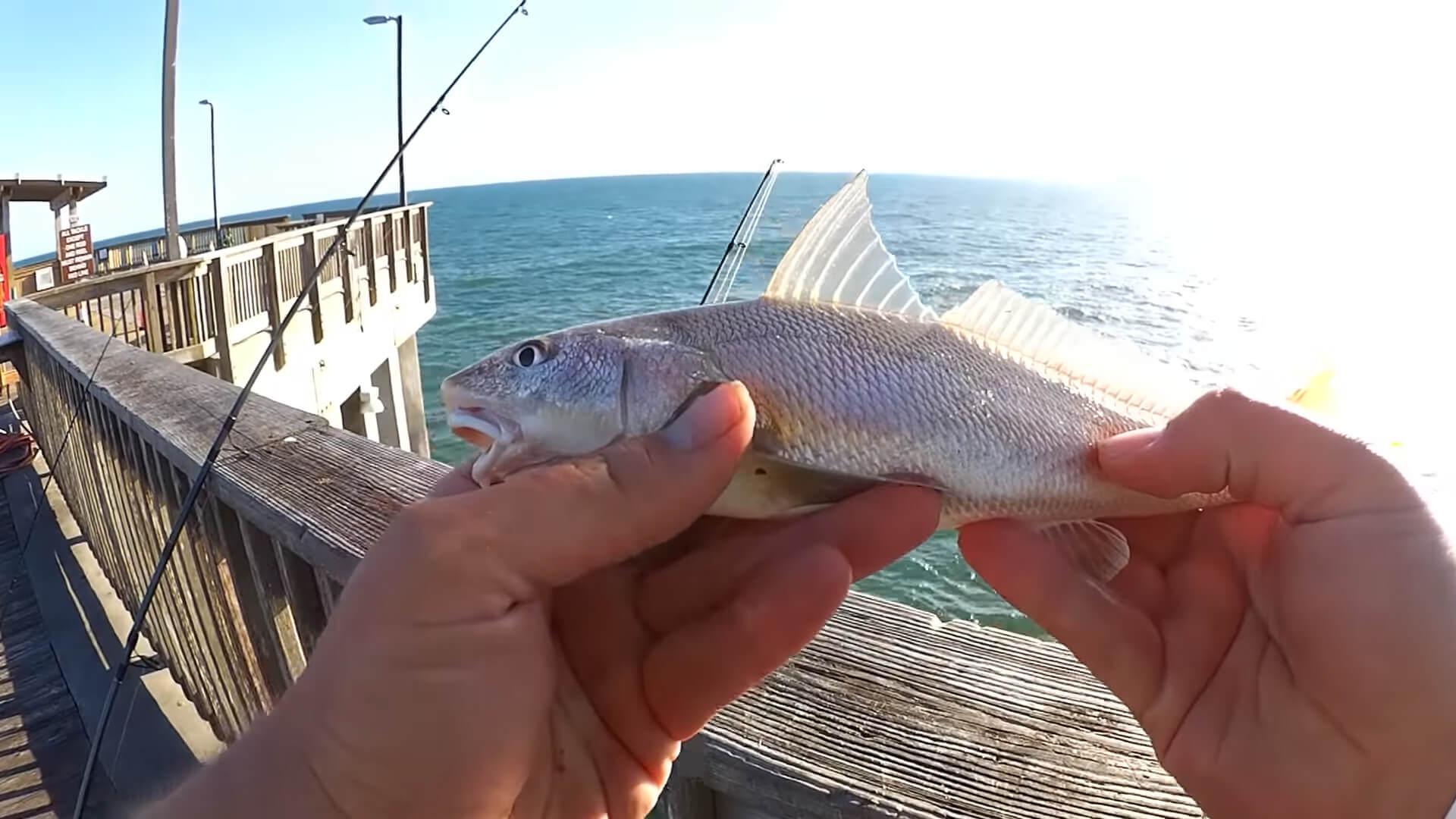 Pier Fishing for Beginners Easy Fishing at the Gulf State Park Pier - Realistic Fishing