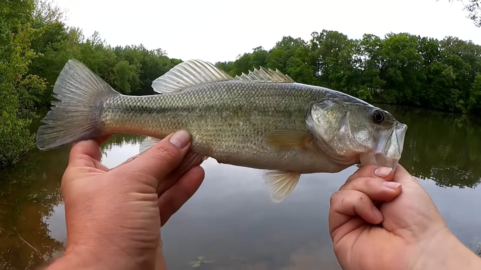 Easy Bass Fishing for Beginners with Texas Rigs ...