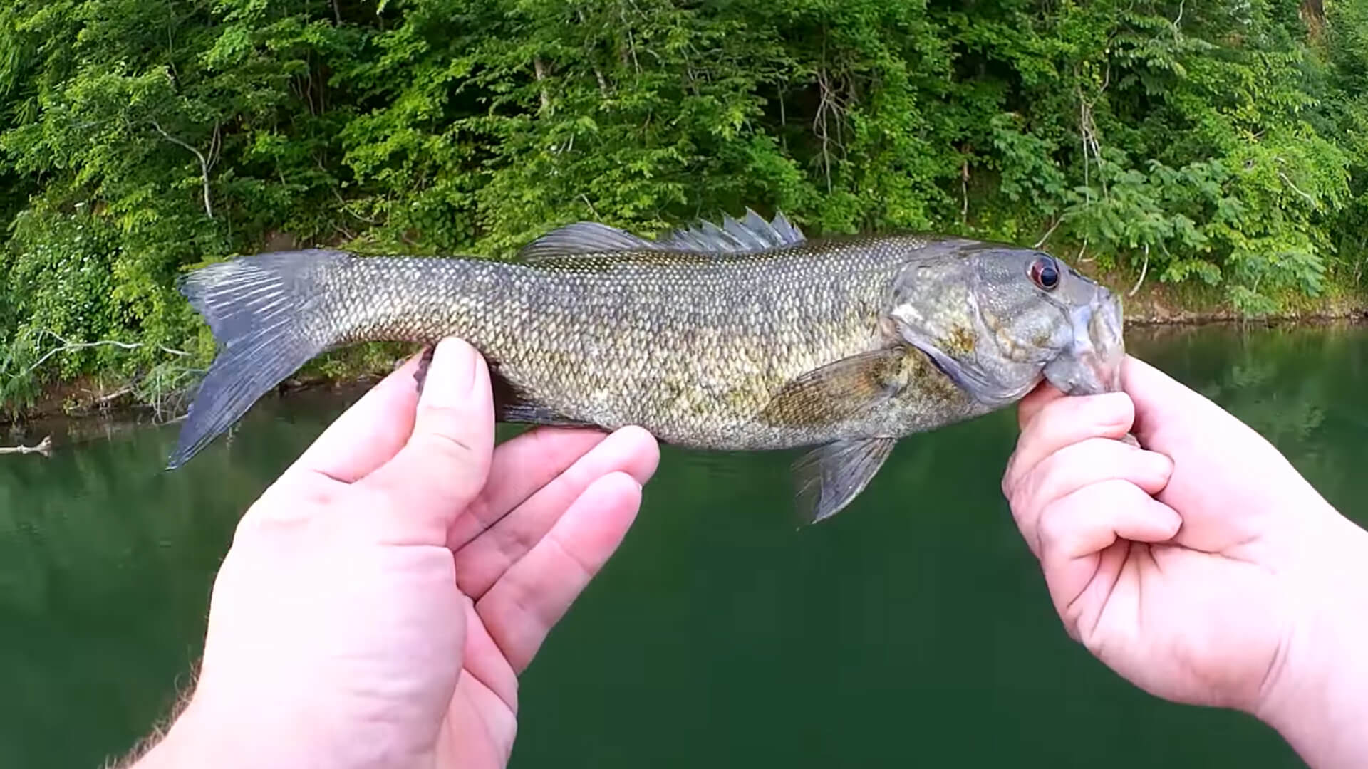 Bass Fishing at a New Pond with Topwater - Realistic Fishing