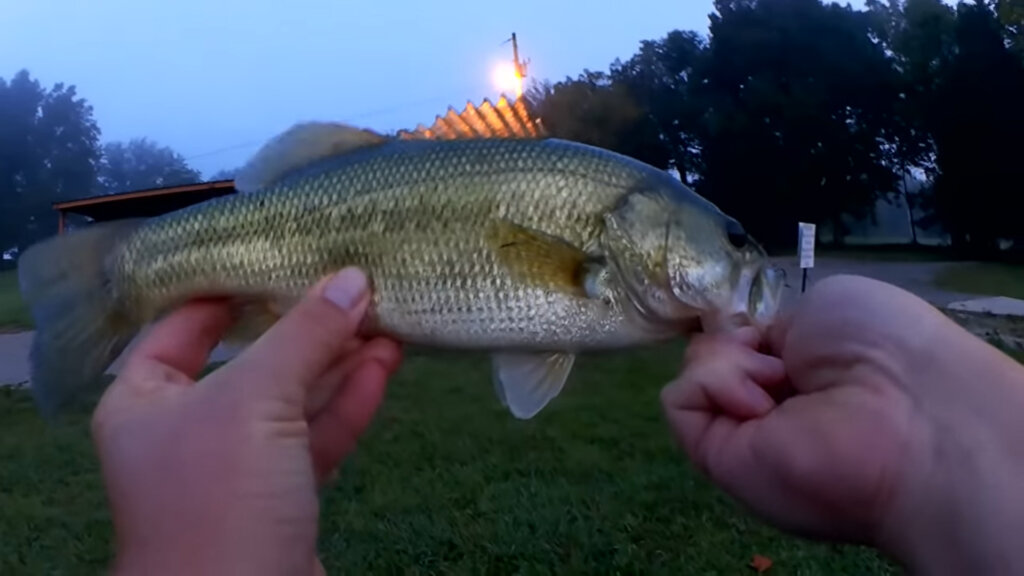 Early Fall Topwater Bass Fishing from the Bank - Realistic Fishing