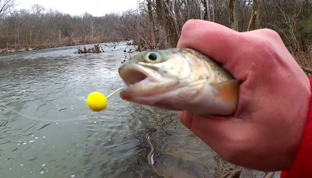 Trout Fishing Floats  DICK's Sporting Goods