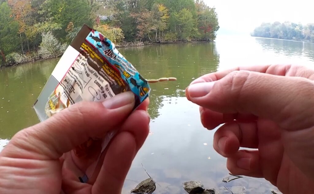 Fishing With the Smallest Fishing Lure In My Tackle Box Gulp Larva - Realistic Fishing