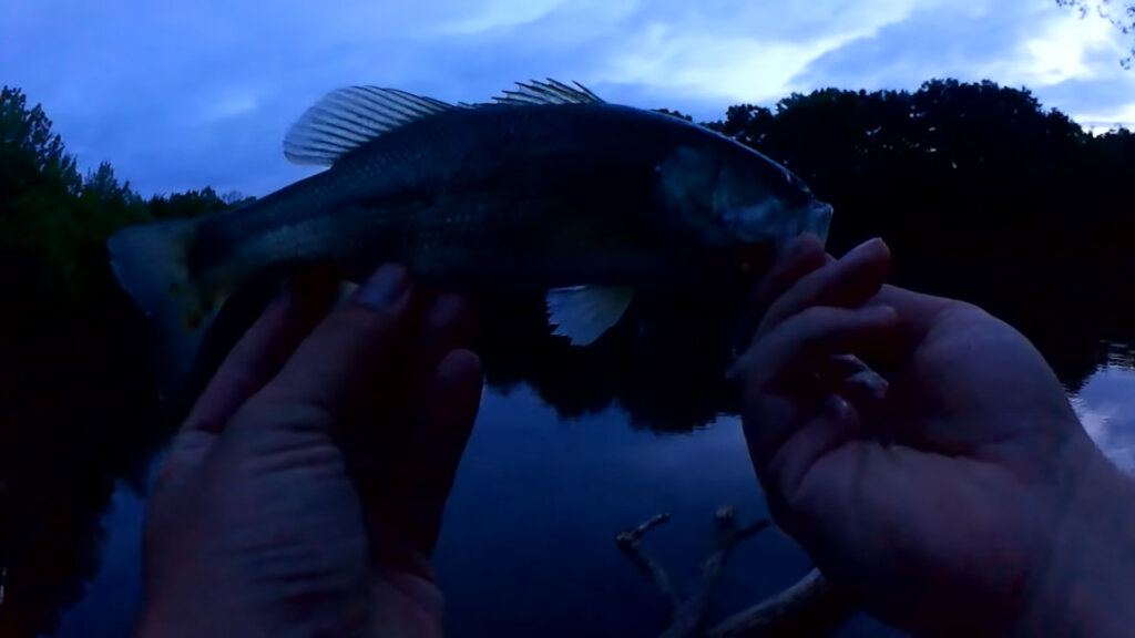 First Topwater Bass of the Season & Shallow Water Bass Fishing with a Texas  Rig Rage Craw - Realistic Fishing