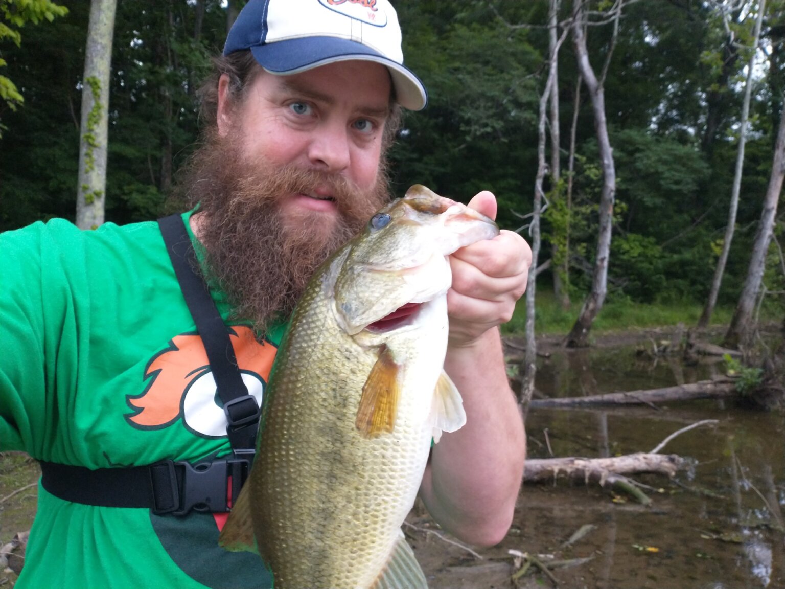 Summer Bass Fishing From the Bank & Bank Fishing for Bluegill With a Float Rig + Tiny Texas Rig