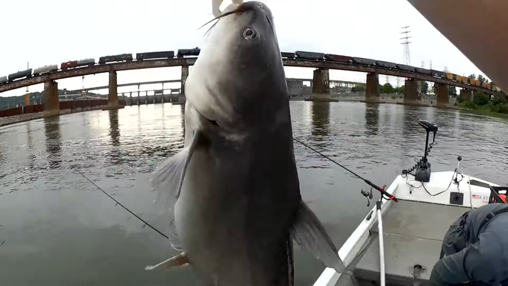 Fishing Below The Dam for a River Monster & the Biggest Fish of My