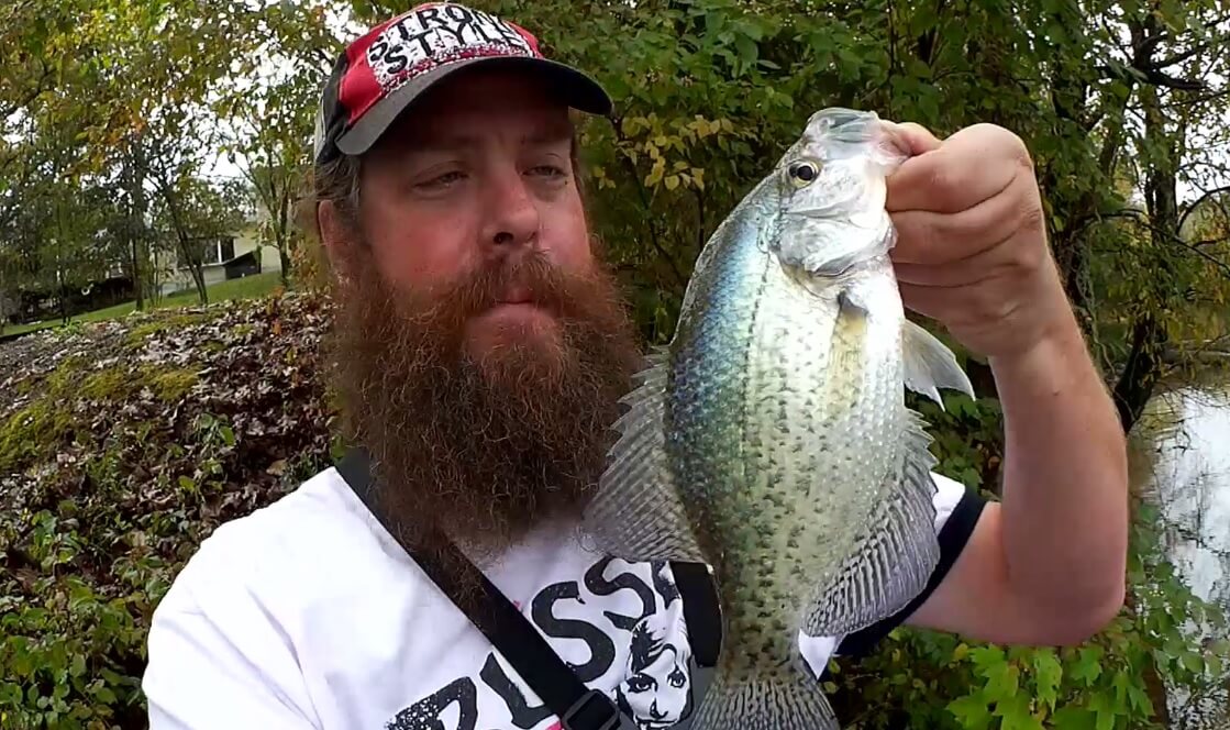 Fishing for CRAPPIE with PowerBait Minnows Fall Crappie Fishing - Realistic Fishing