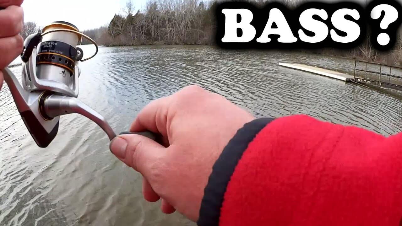 Early Spring Bass Fishing When Do the Bass Show Up at the Bank 2 - Realistic Fishing