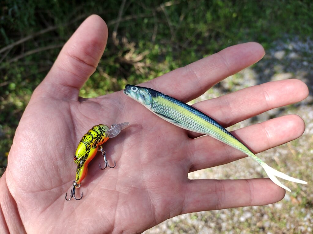 Bass Fishing with Crankbaits and Flukes 1 CRANKBAIT vs BioBait DNA - Realistic Fishing