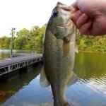 Bass Fishing With Subscribers Lures 6 Fishing After a Hot Summer Storm - Realistic Fishing