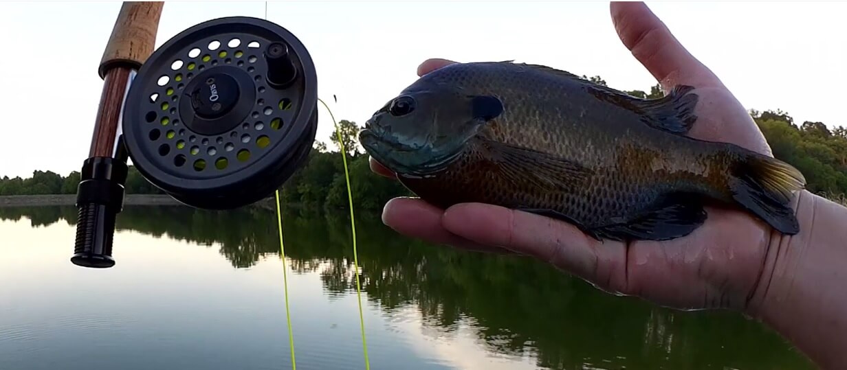 More Ways to Catch Bass When its Hot Outside - Realistic Fishing