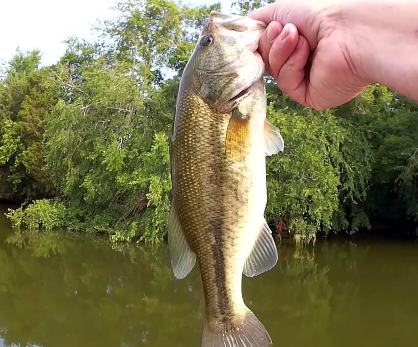 Fishing With Subscribers Lures 3 Realistic Bass Fishing When Its HOT - Realistic Fishing