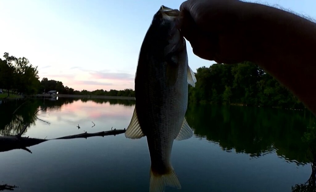 Summer Fishing From a Dock Realistic Fishing for Bass and Bluegill - Realistic Fishing