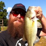 Early Fall Fishing with GULP Minnows YUM Dingers Bass and Bluegill - Realistic Fishing