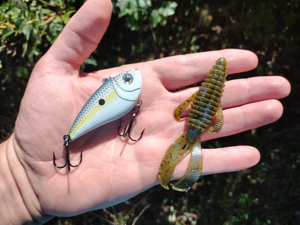 Late Summer Bass Fishing from the Bank - Realistic Fishing