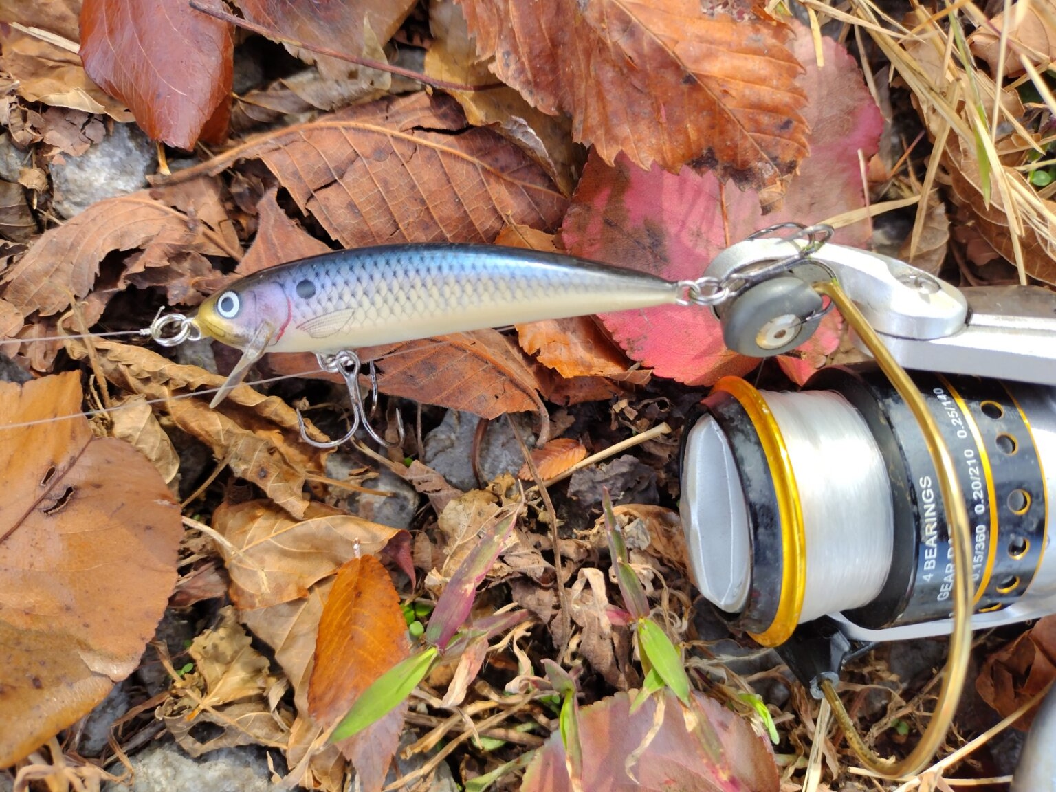 First Time Fishing with a Bagley Jerkbait Realistic Fishing