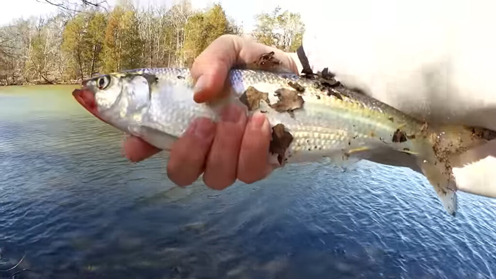 Replacing Treble Hooks on a Lure and Testing it Out Skipjack Fishing - Realistic Fishing