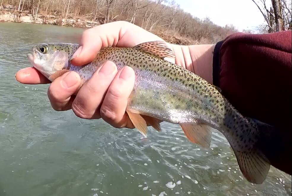 Early Spring Bank Fishing with the Googan Crappie Series Baits 