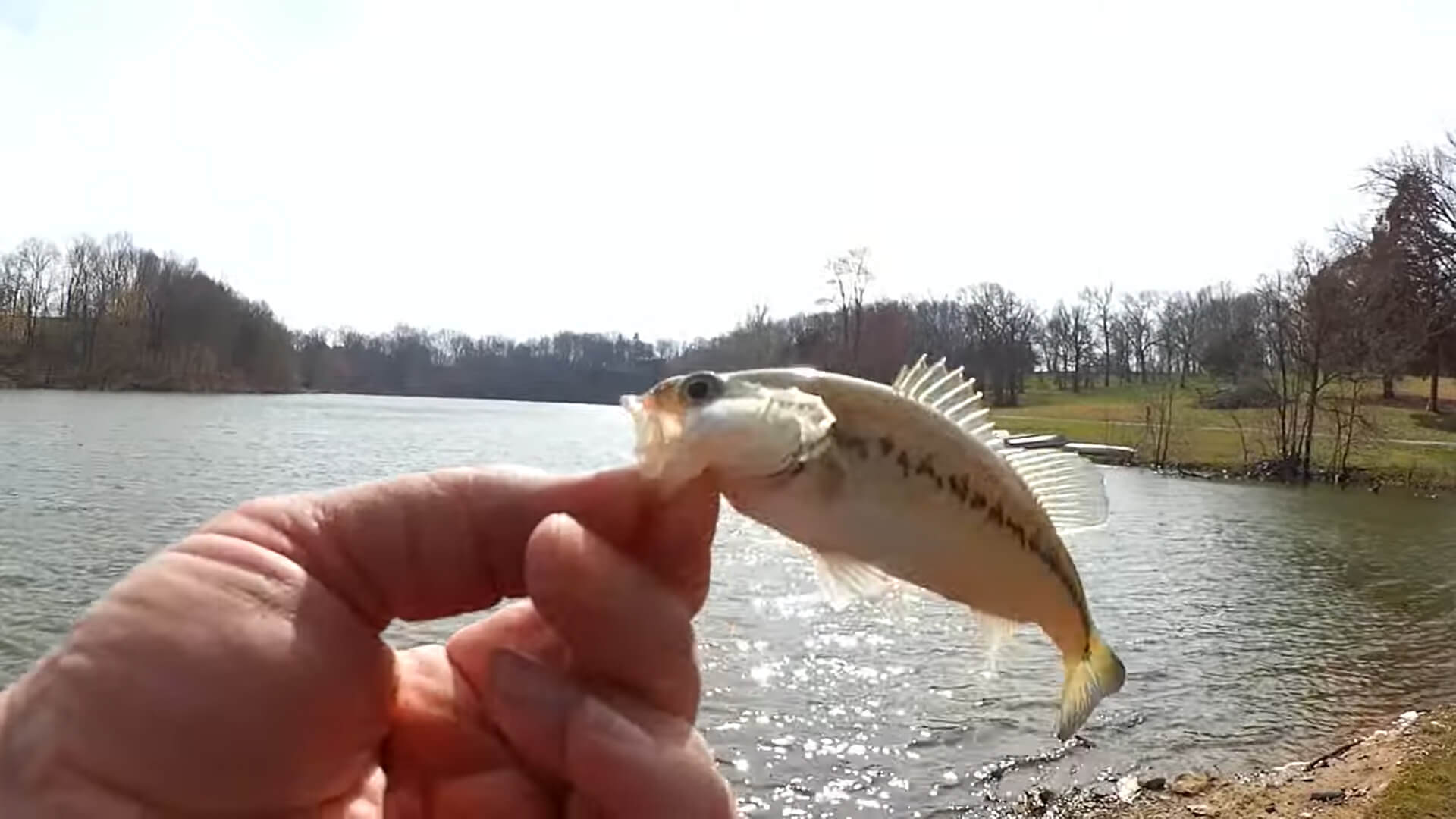 How to Catch That First Bass of the Year Bass Fishing Rigs for Spring - Realistic Fishing