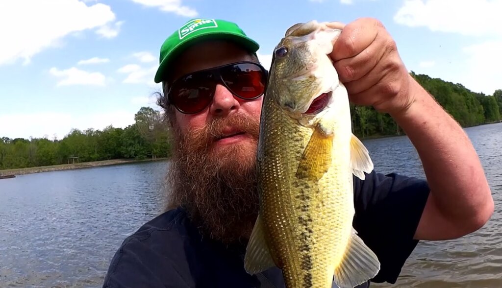 Bluegills, Largemouths, and Cichlids on the Trout Magnet 