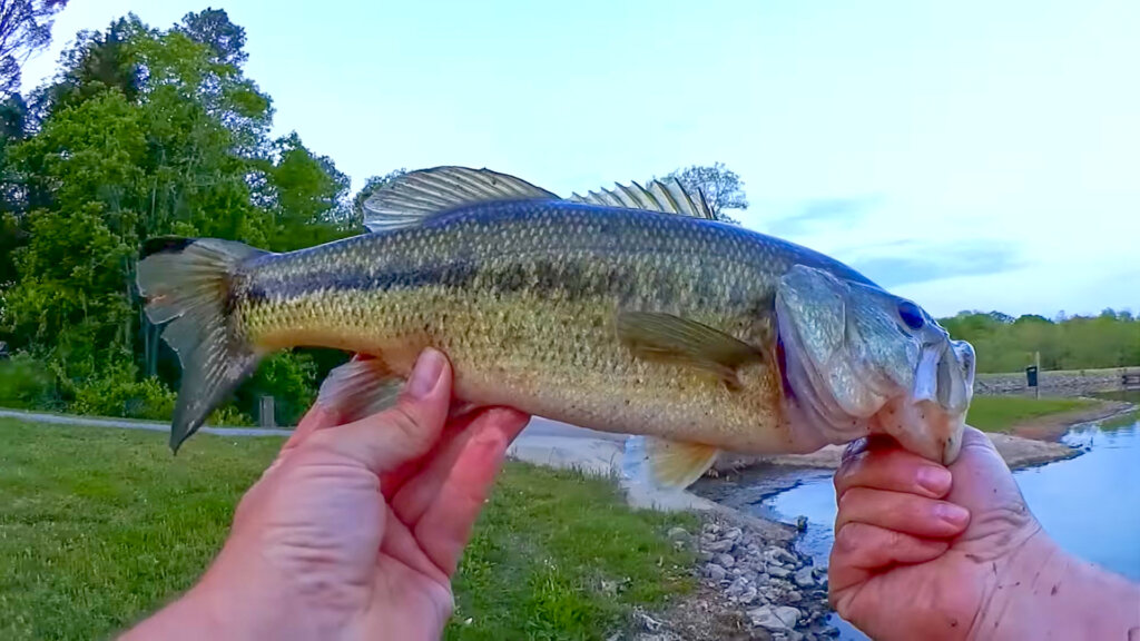 Bass Fishing with Crankbaits & Plastic Worms - Realistic Fishing