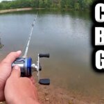 fishing for bass bluegill and catfish at the same time - Realistic Fishing