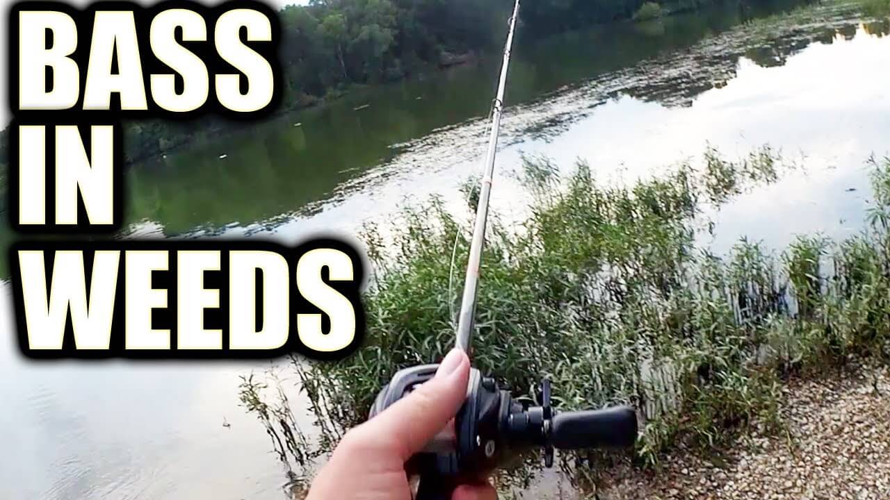 july 8 bass heart swim baits - Realistic Fishing