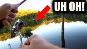 i should have used a baitcaster losing bass on light tackle fishing - Realistic Fishing
