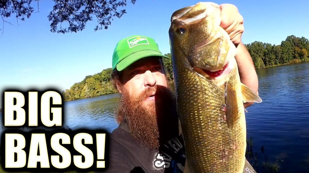 catch the biggest bass at your public park 1 - Realistic Fishing