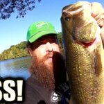 catch the biggest bass at your public park 1 - Realistic Fishing