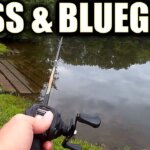 catching bluegill bass and catfish from the bank - Realistic Fishing