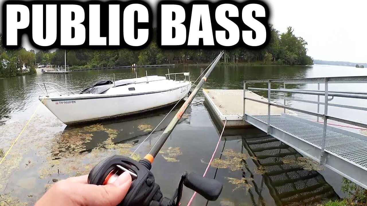 early fall bass fishing at public parks with gulp alive ned rigs texas rigs 1 - Realistic Fishing