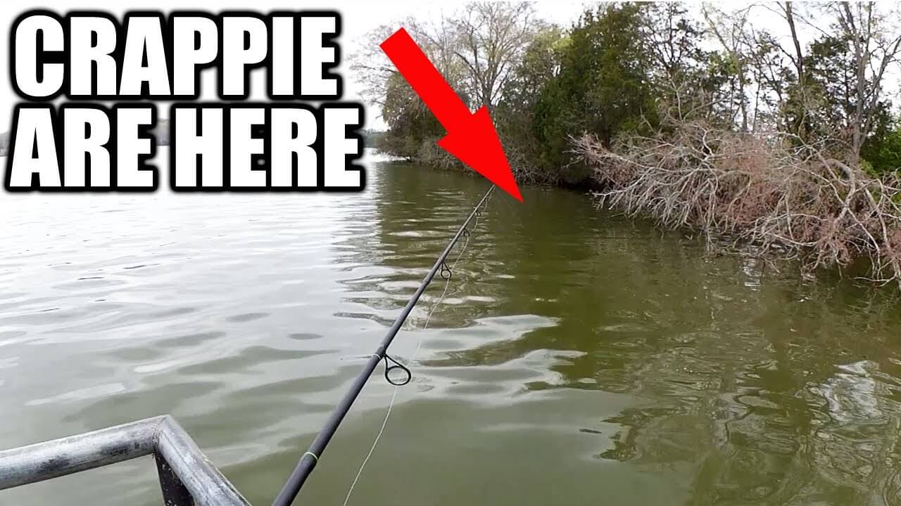 Spring Bank Fishing Report - Time to Fish For Crappie and Bluegill -  Realistic Fishing