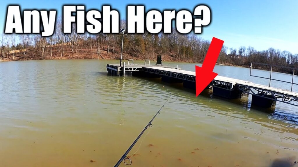 weekly video roundup february 23 2025 march 1 2025 - Realistic Fishing