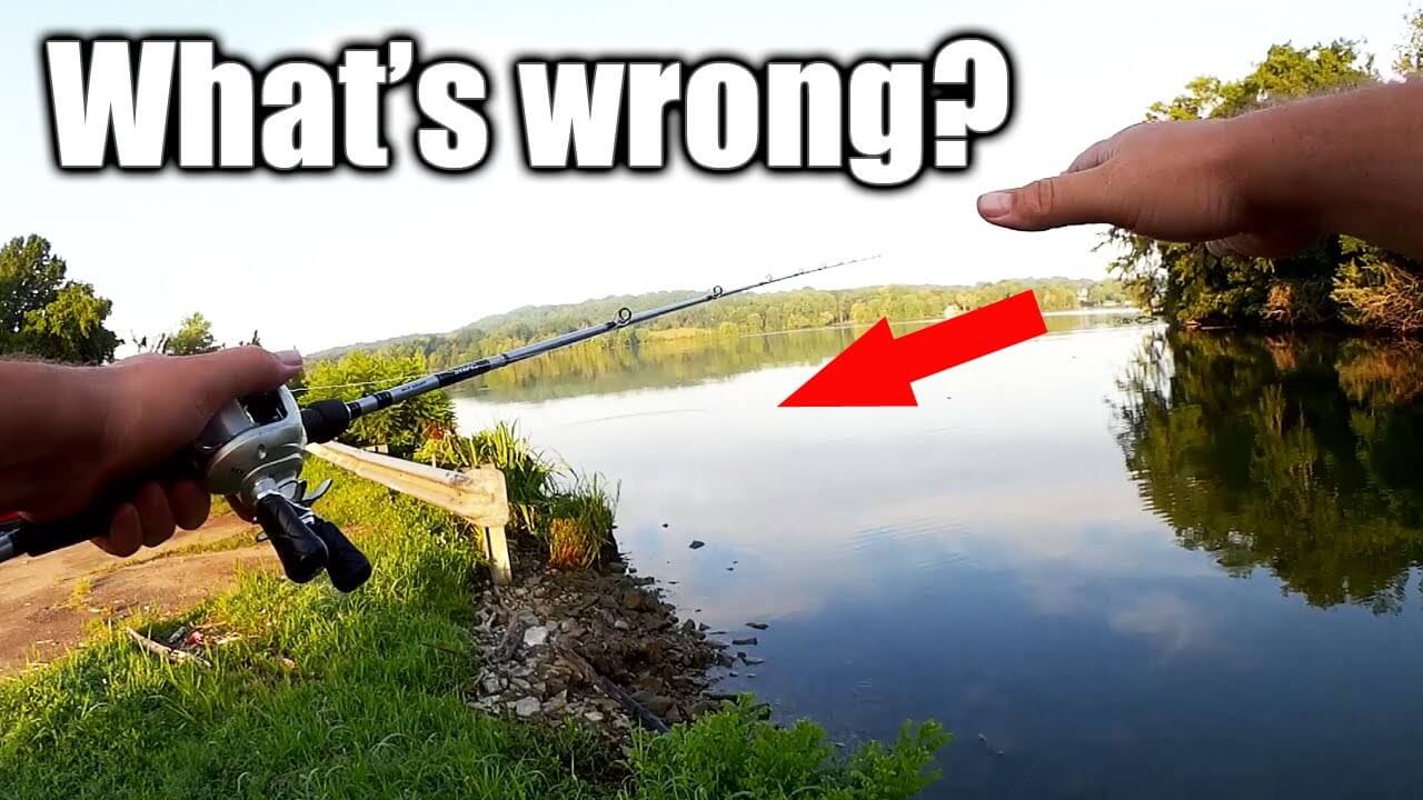 Realistic Fishing Real Fishing Tips Beginner Guides